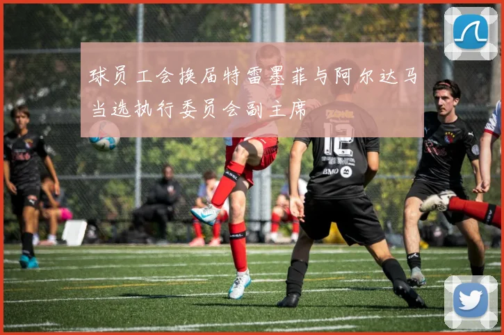 球员工会换届特雷墨菲与阿尔达马当选执行委员会副主席